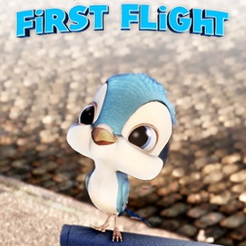 Первый полёт